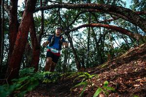 BIB: 
                            <button type="button" onclick="openModal(26346837)" class="btn btn-primary btn-sm float-right btn-popup" data-toggle="modal" data-target=".modal-high-quality">
                        <i class="fas fa-shopping-cart"></i> Add to Cart
                    </button>
                                            <button type="button" onclick="isThisMe(26346837, true)" class="btn btn-success btn-sm float-right btn-popup btn-isme hidden" data-toggle="tooltip" data-placement="bottom" title="นี่คือรูปของคุณใช่ไหม คลิกที่นี่เพื่อเอาเข้าอัลบั้ม">
                        <i class="fas fa-plus"></i> Add to album
                    </button>
                    <button type="button" onclick="isThisMe(26346837, false)" class="btn btn-warning btn-sm float-right btn-popup btn-isnotme hidden">
                        <i class="fas fa-ban"></i> Remove from album
                    </button>